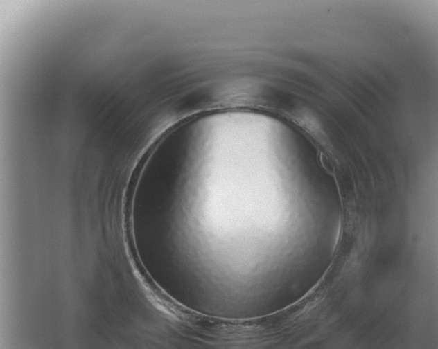 X0000062631039200512231008