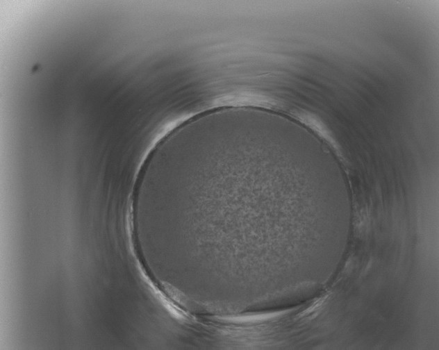 X0000062631040200512231008