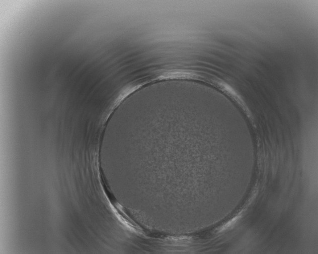 X0000062631041200512231008