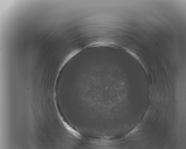 X0000062631042200512231008