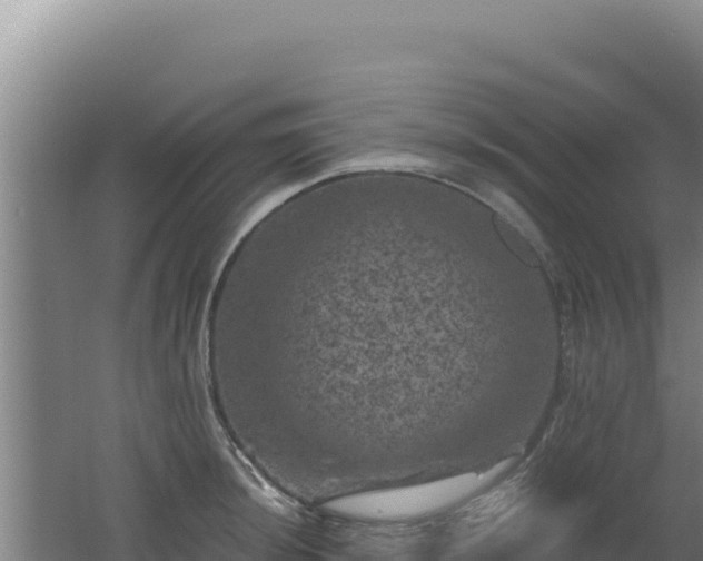 X0000062631044200512231008