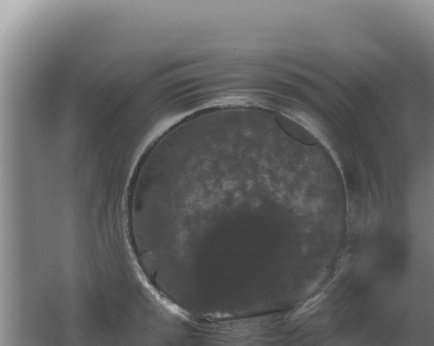 X0000062631045200512231008