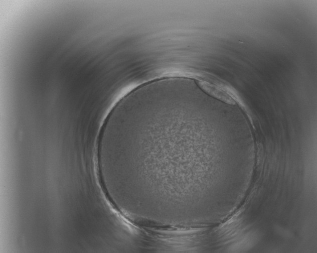 X0000062631048200512231008