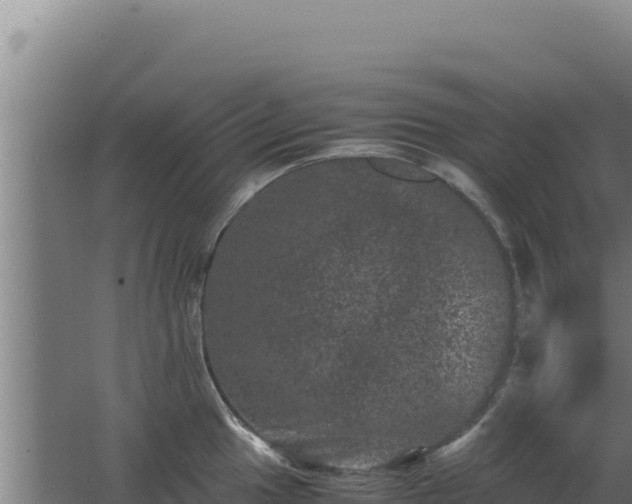 X0000062631049200512231008