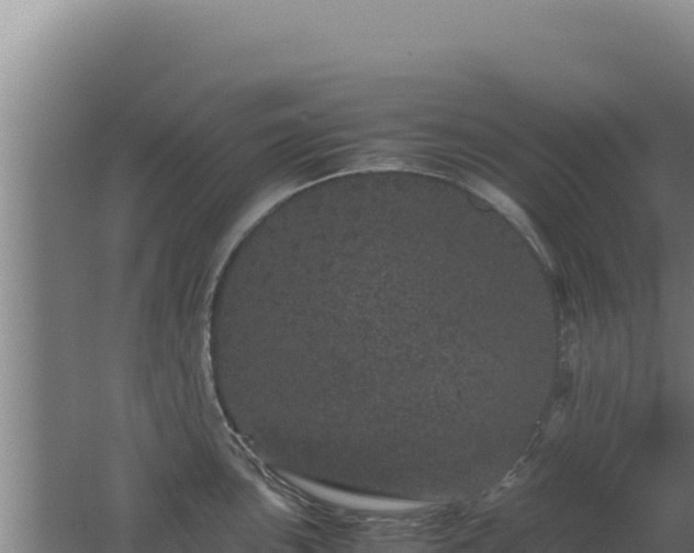 X0000062631051200512231008