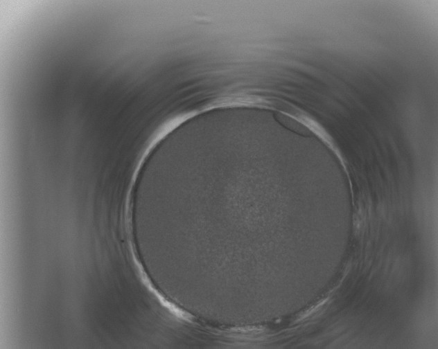 X0000062631053200512231008