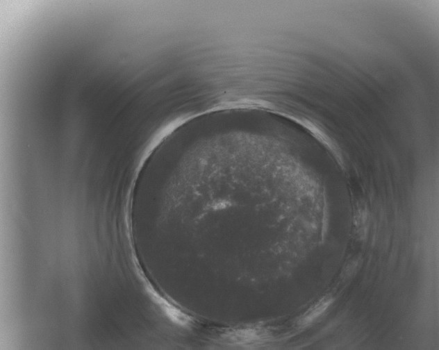 X0000062631054200512231008