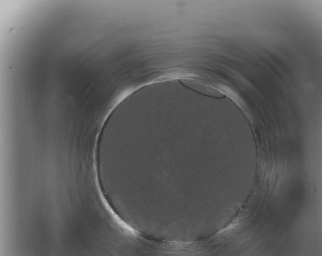 X0000062631055200512231008