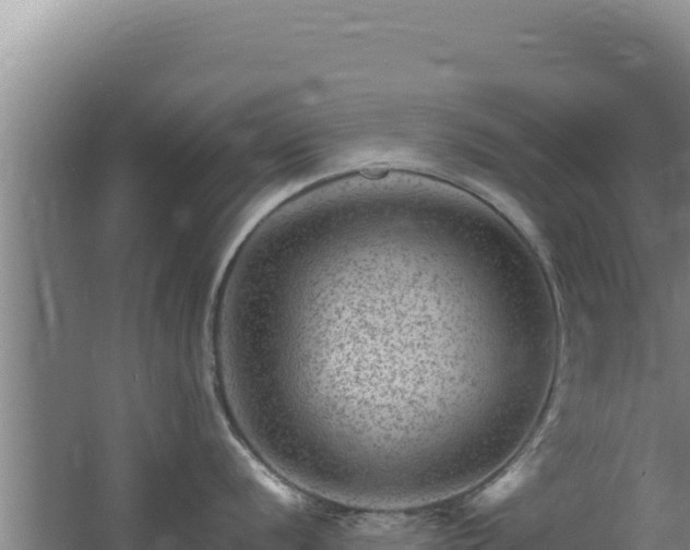 X0000062631056200512231008