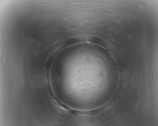 X0000062631058200512231007