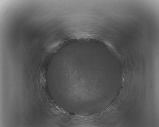 X0000062631063200512231007