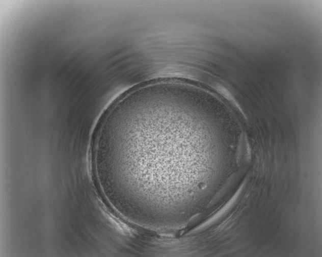 X0000062631076200512231007