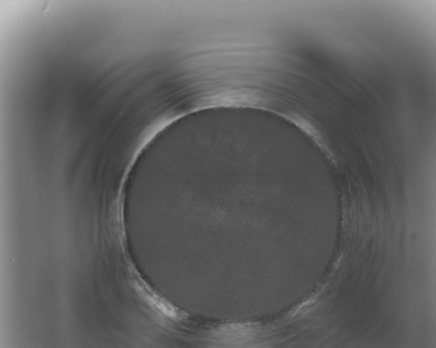 X0000062631078200512231007