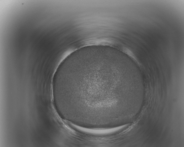 X0000062631079200512231007