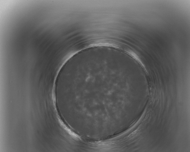 X0000062631084200512231007