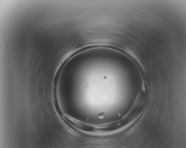 X0000062631085200512231007