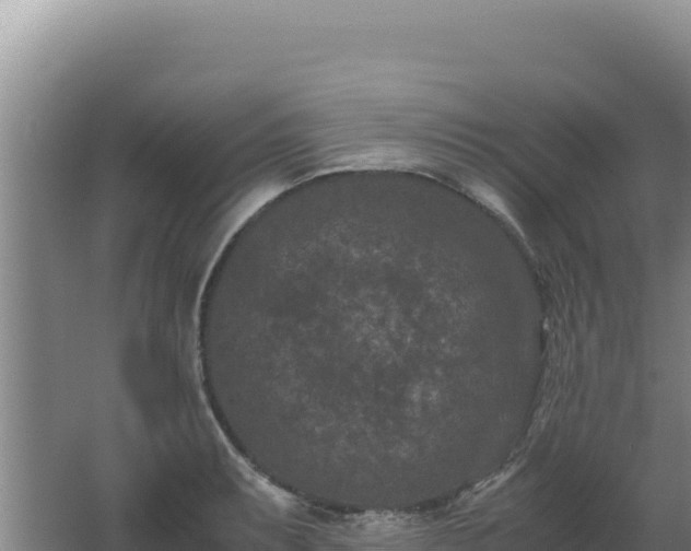 X0000062631087200512231007