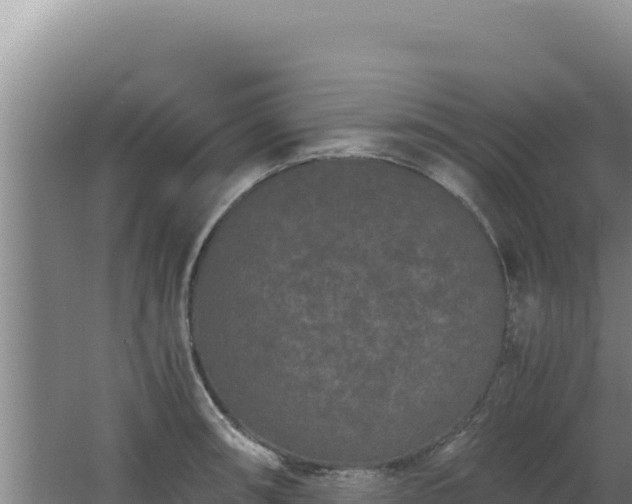 X0000062631090200512231006