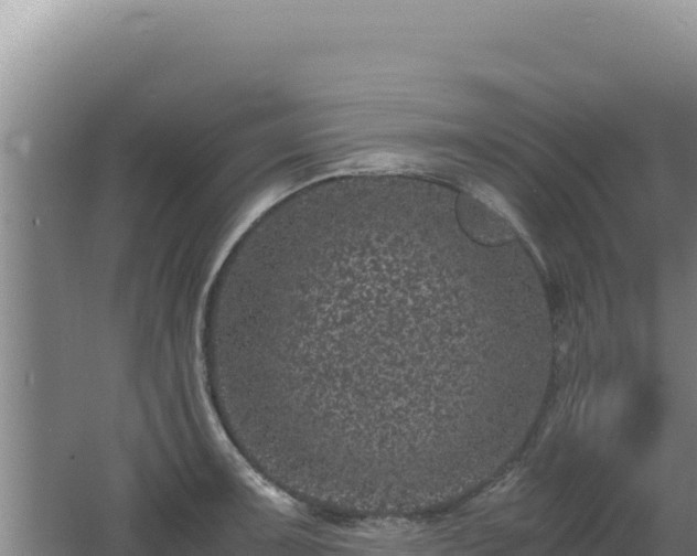 X0000062631091200512231006