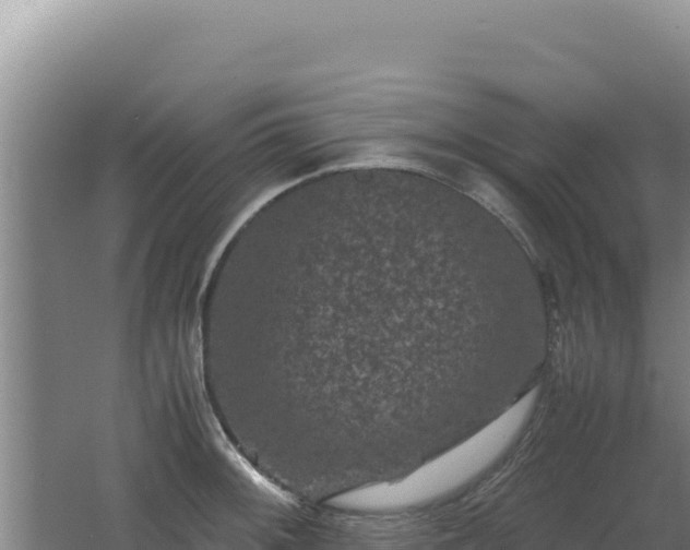 X0000062631092200512231006