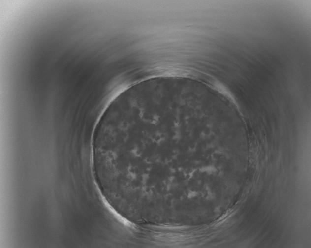 X0000062631095200512231006