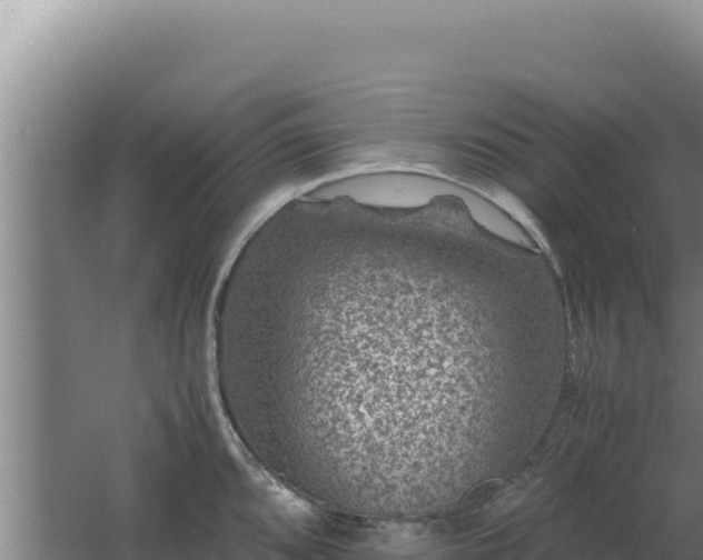 X0000062631096200512231006