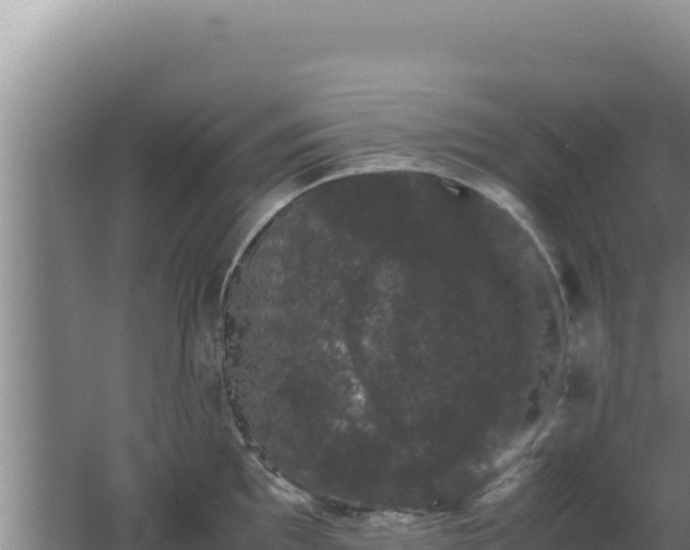 X0000062631097200512231006