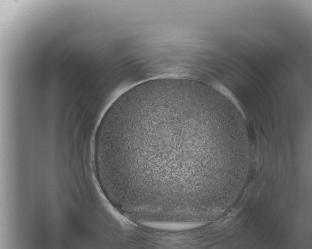 X0000062631099200512231006