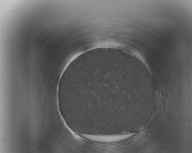 X0000062631103200512231006