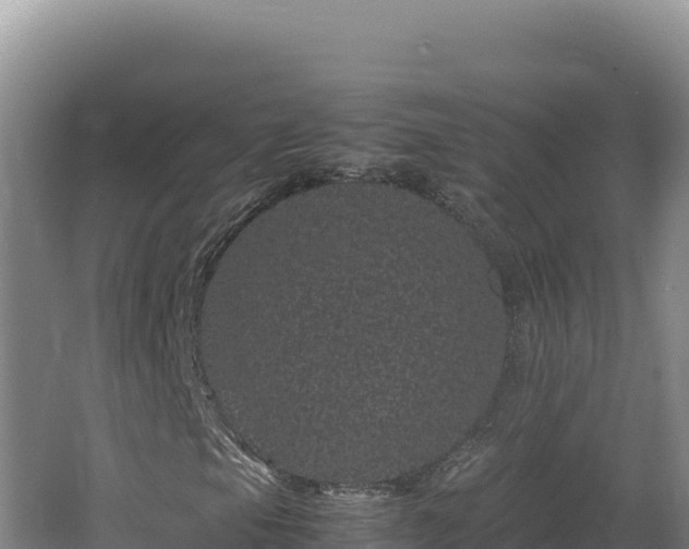 X0000062631105200512231005