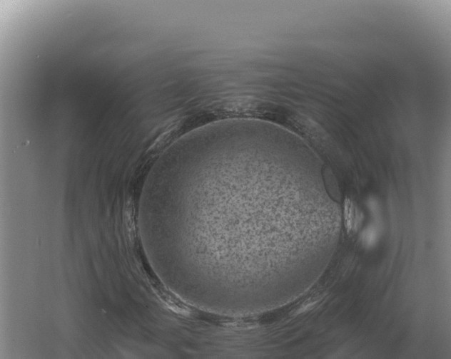 X0000062631107200512231005