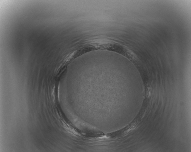 X0000062631108200512231005