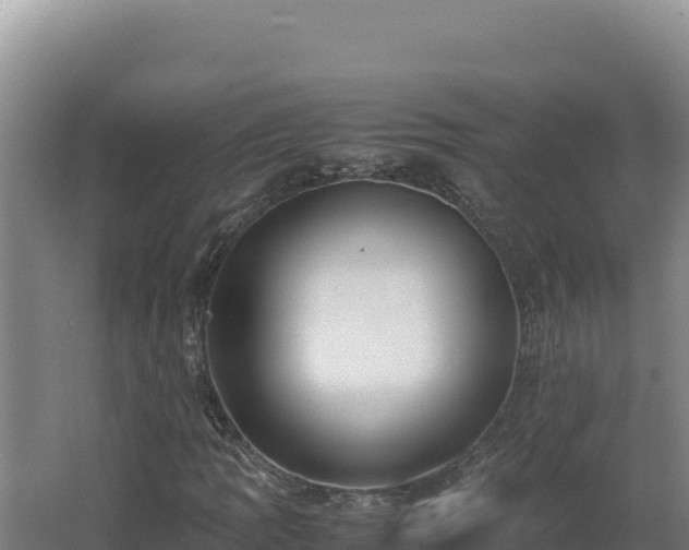 X0000062631109200512231005