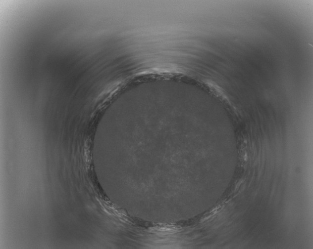 X0000062631110200512231006