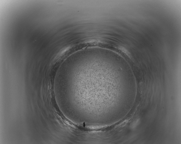 X0000062631111200512231006