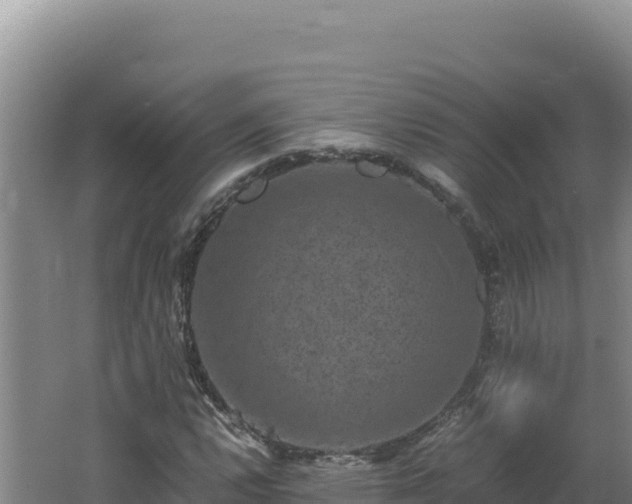 X0000062631112200512231006