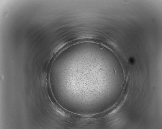 X0000062631113200512231006