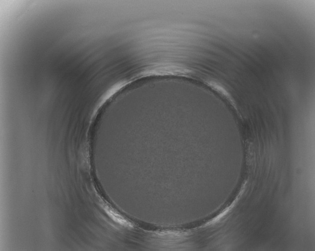 X0000062631114200512231006