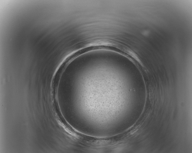 X0000062631116200512231006