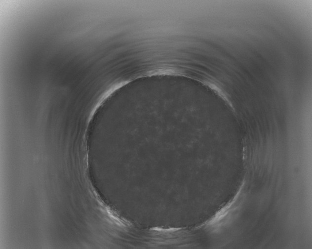 X0000062631117200512231006