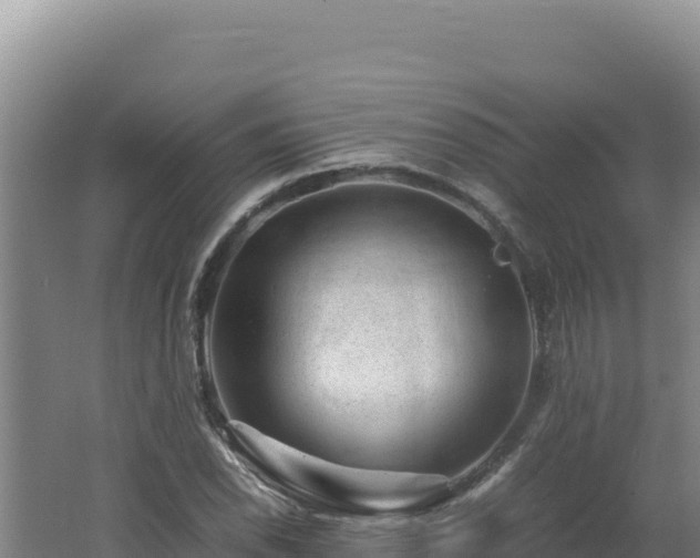 X0000062631118200512231006