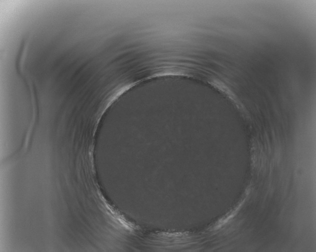 X0000062631121200512231006