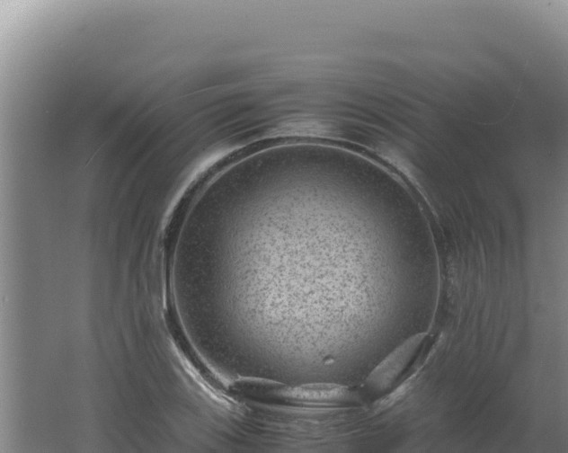 X0000062631123200512231006