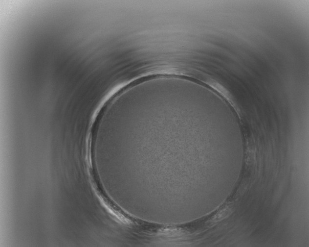 X0000062631128200512231006