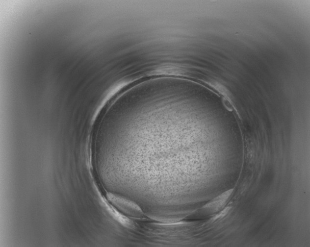 X0000062631131200512231006