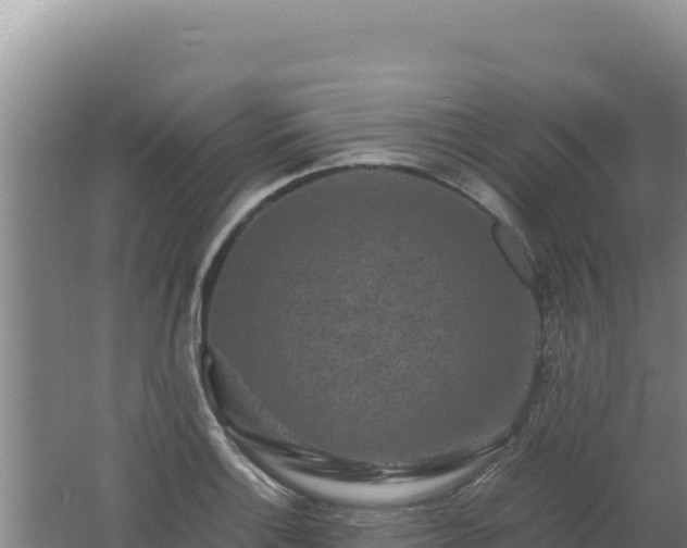 X0000062631132200512231006