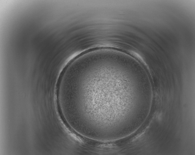 X0000062631133200512231006