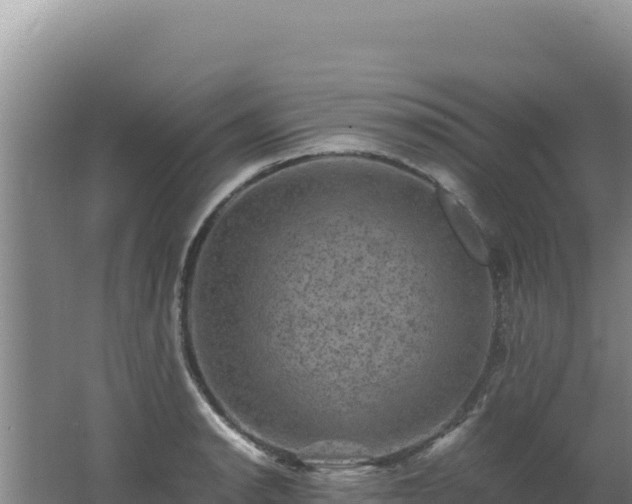 X0000062631134200512231006