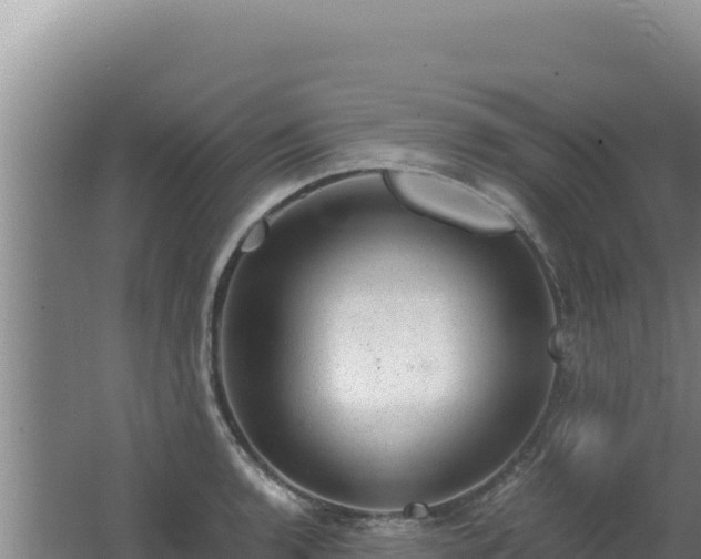 X0000062631136200512231006