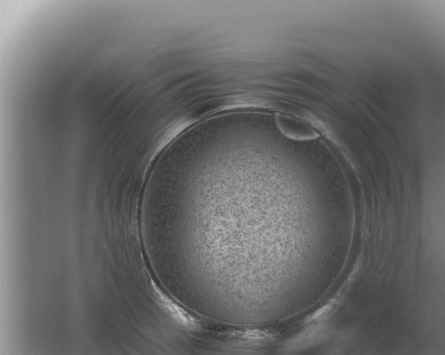 X0000062631137200512231006